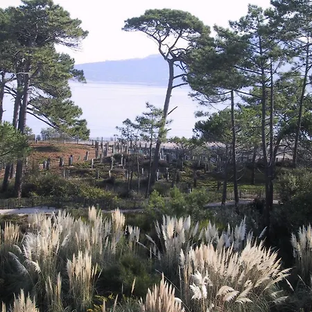 Appartamento Les Residences Pinea Calvi (Corsica)
